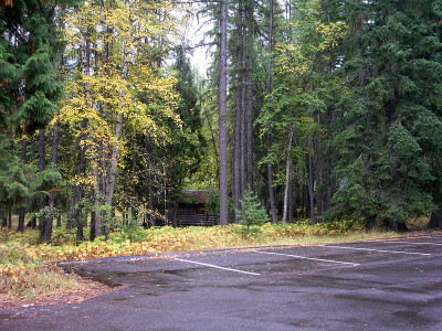 [Beyond the edge of an empty paved and lined parking lot is a cabin tucked amid trees which of which the lower 50-60 foot of the trees are visible. There are multiple types of trees and even a few yellow leaves left on one of them.]